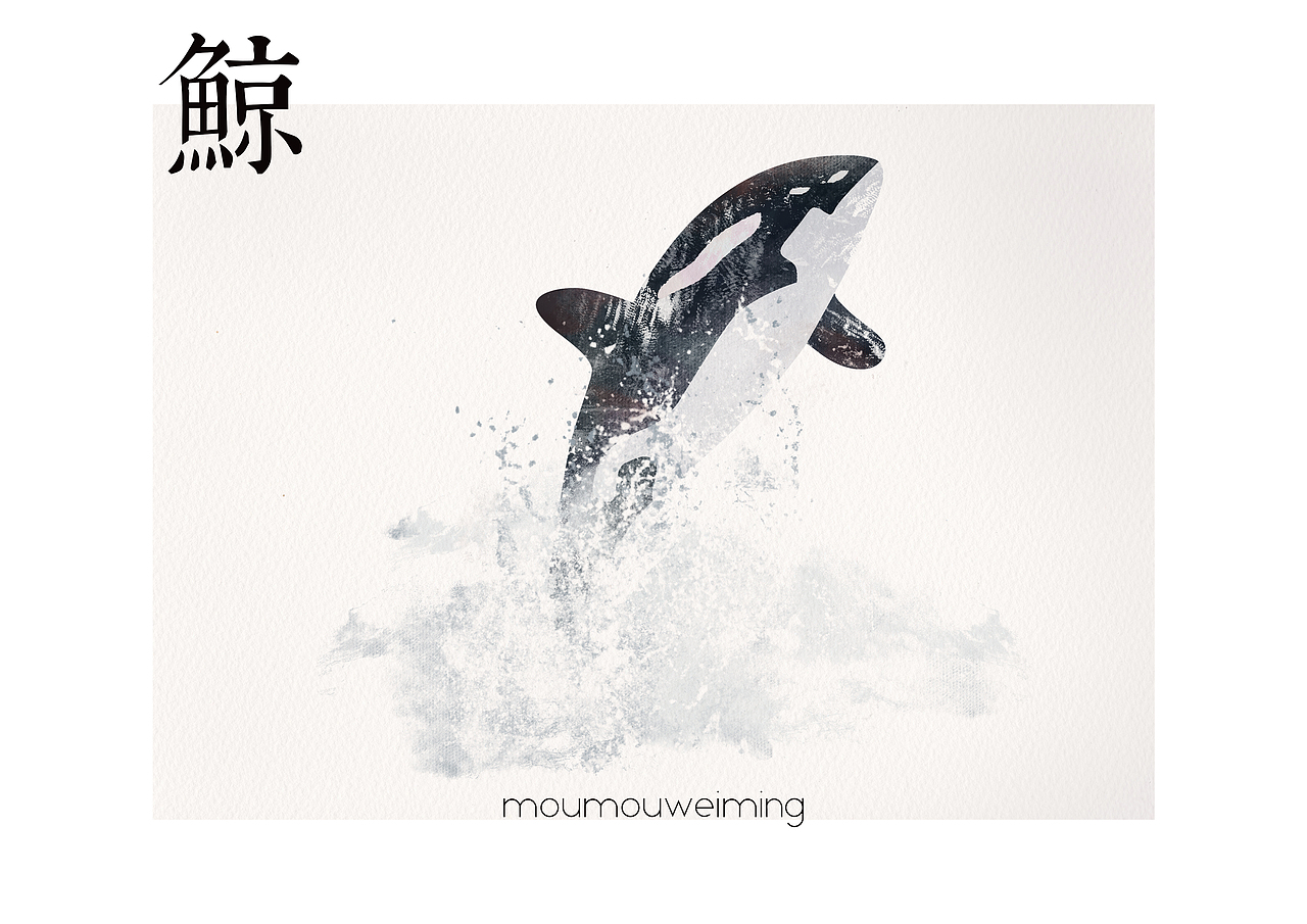 鲸x闲时玩意（图ZMTIzMTc4MDA4） - 创作习作 - 站酷设计师某某未名原创素材 - 站酷ZCOOL