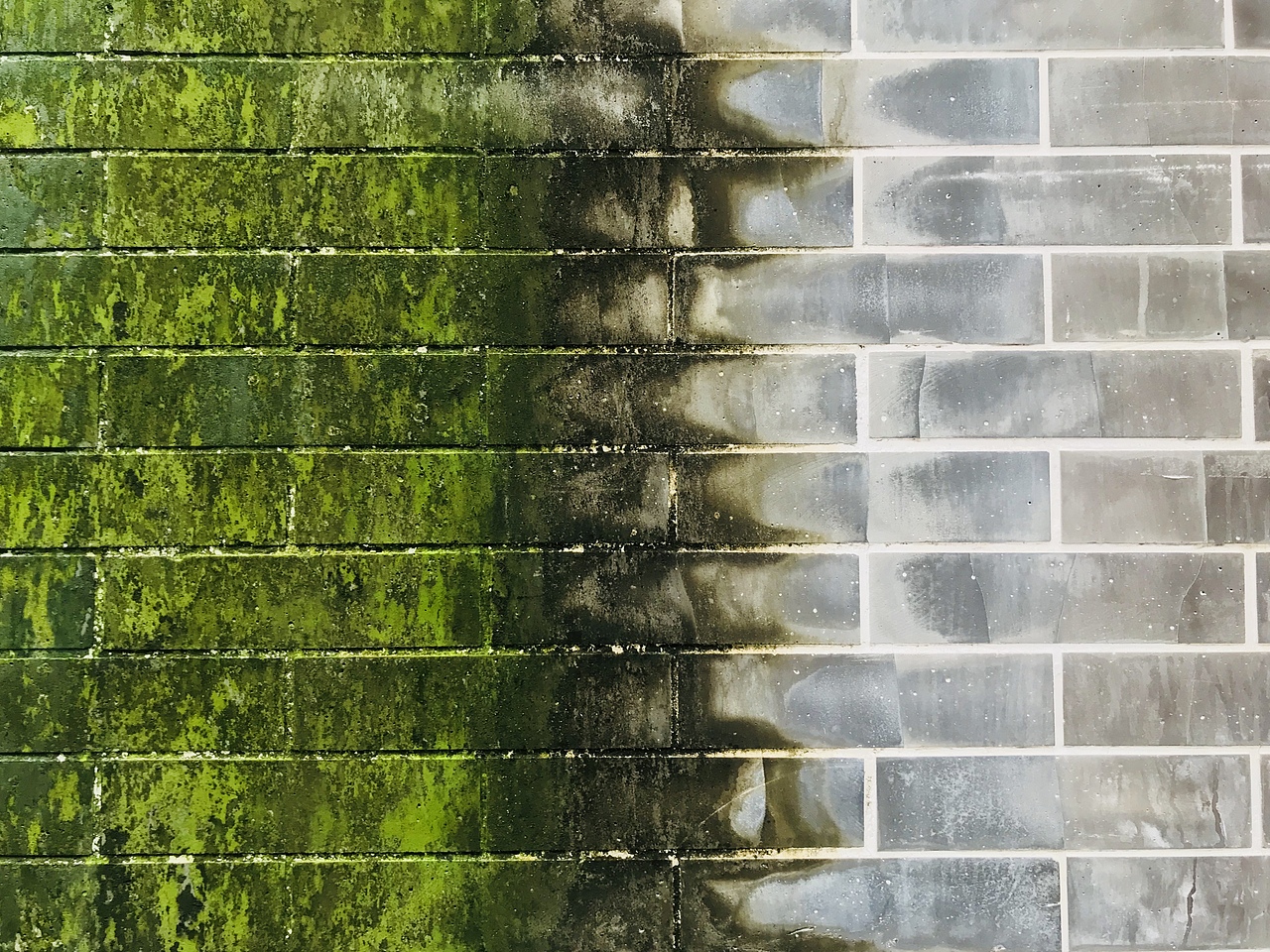 吴杰雄 | 旧地新人