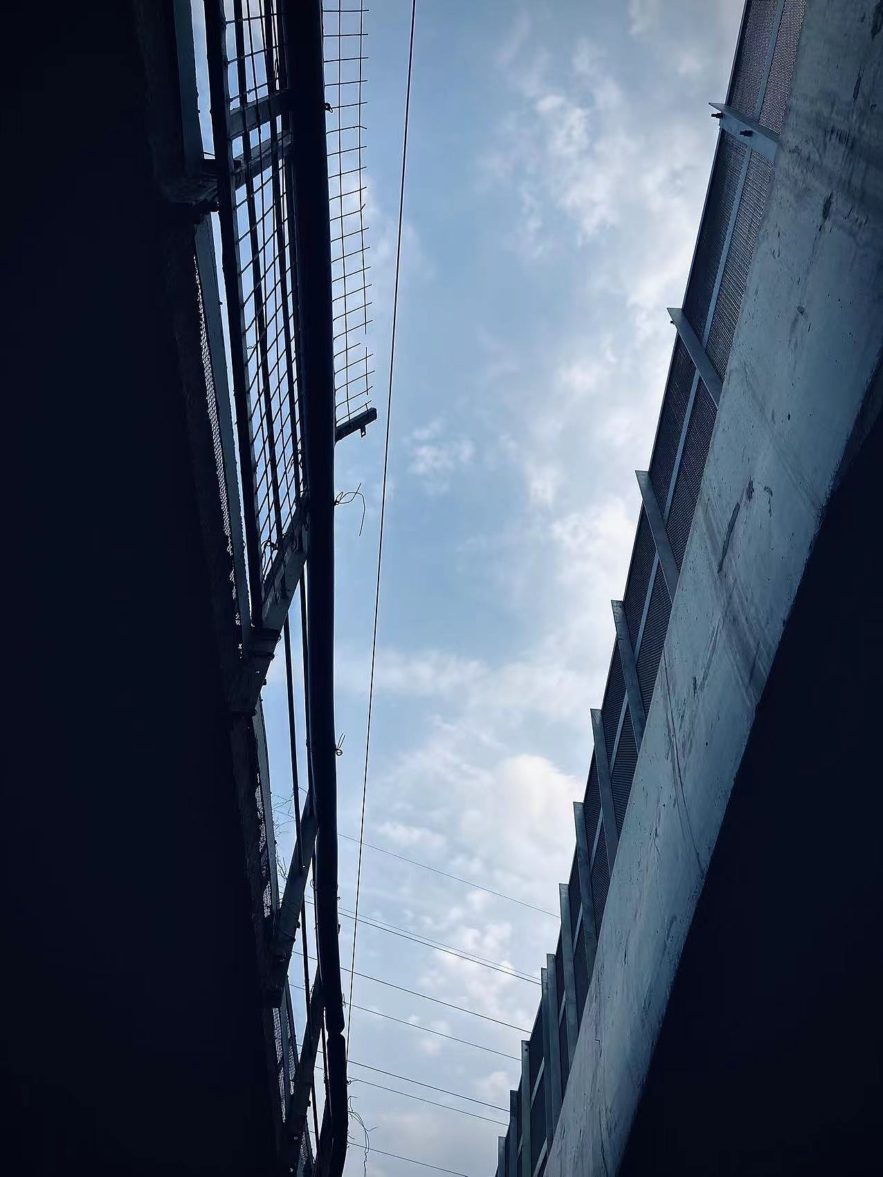 手机拍照日常,调色3