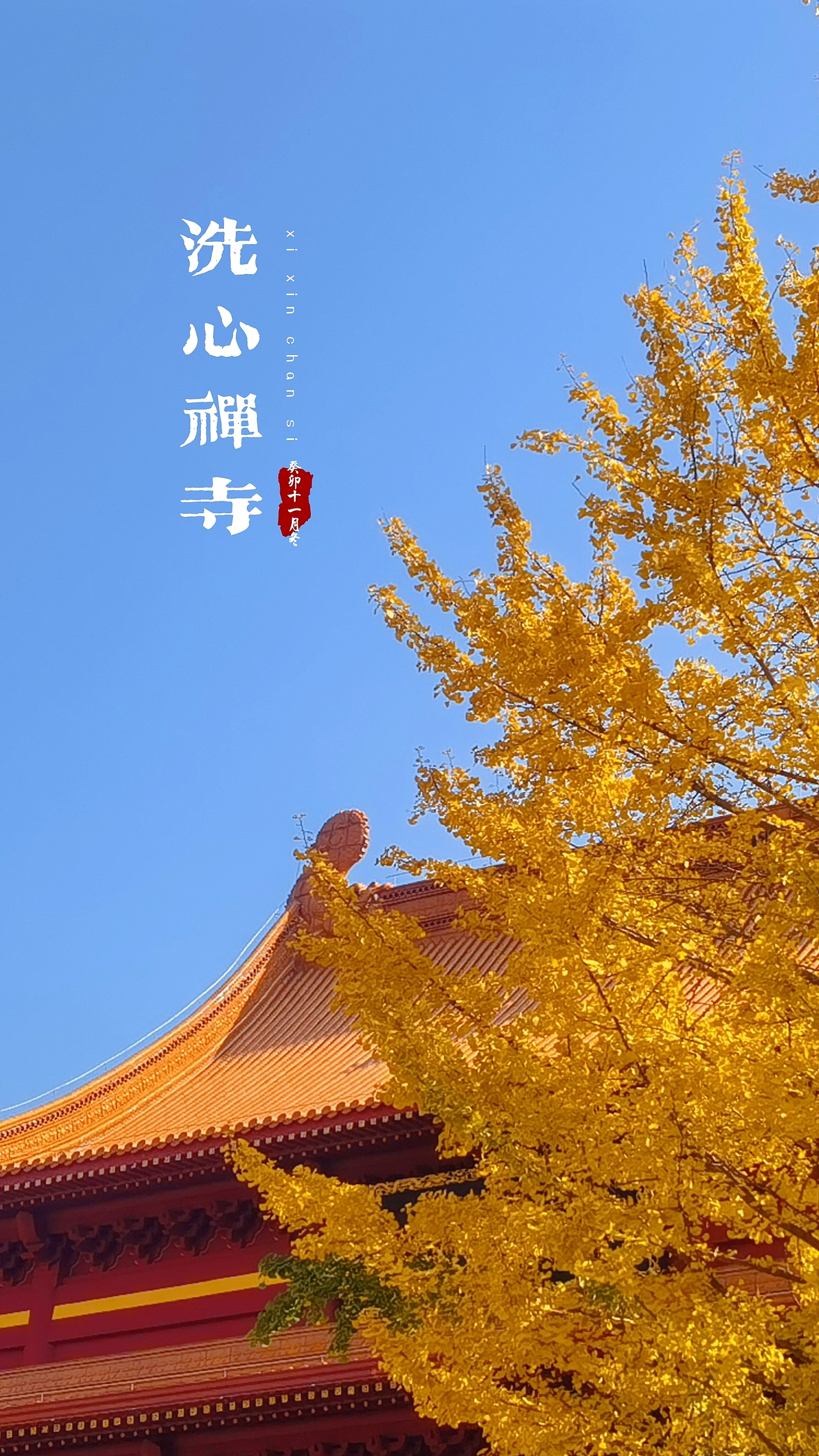 洗心禅寺-2023年秋