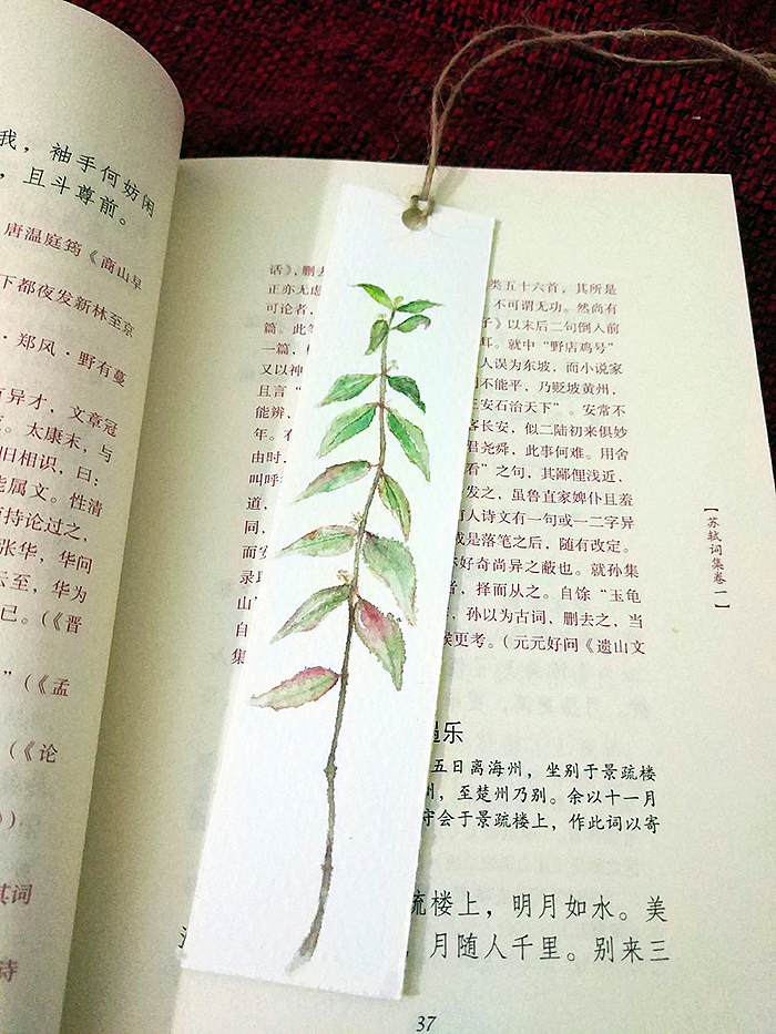 自制水彩書簽數(shù)枚（圖ZMTY3MzE0ODk2） - 繪畫 - 站酷設(shè)計師杜子空原創(chuàng)素材 - 站酷ZCOOL