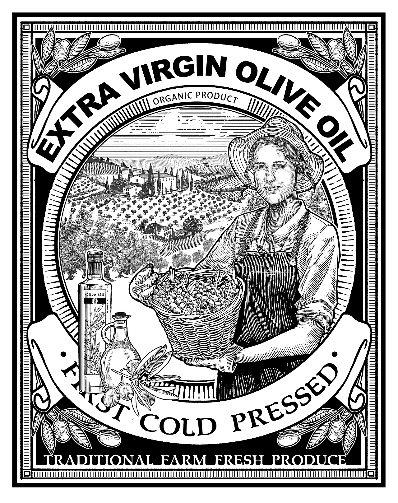 橄榄油包装插画