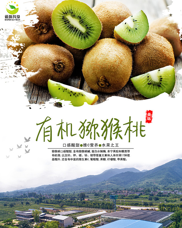 猕猴桃宣传图
