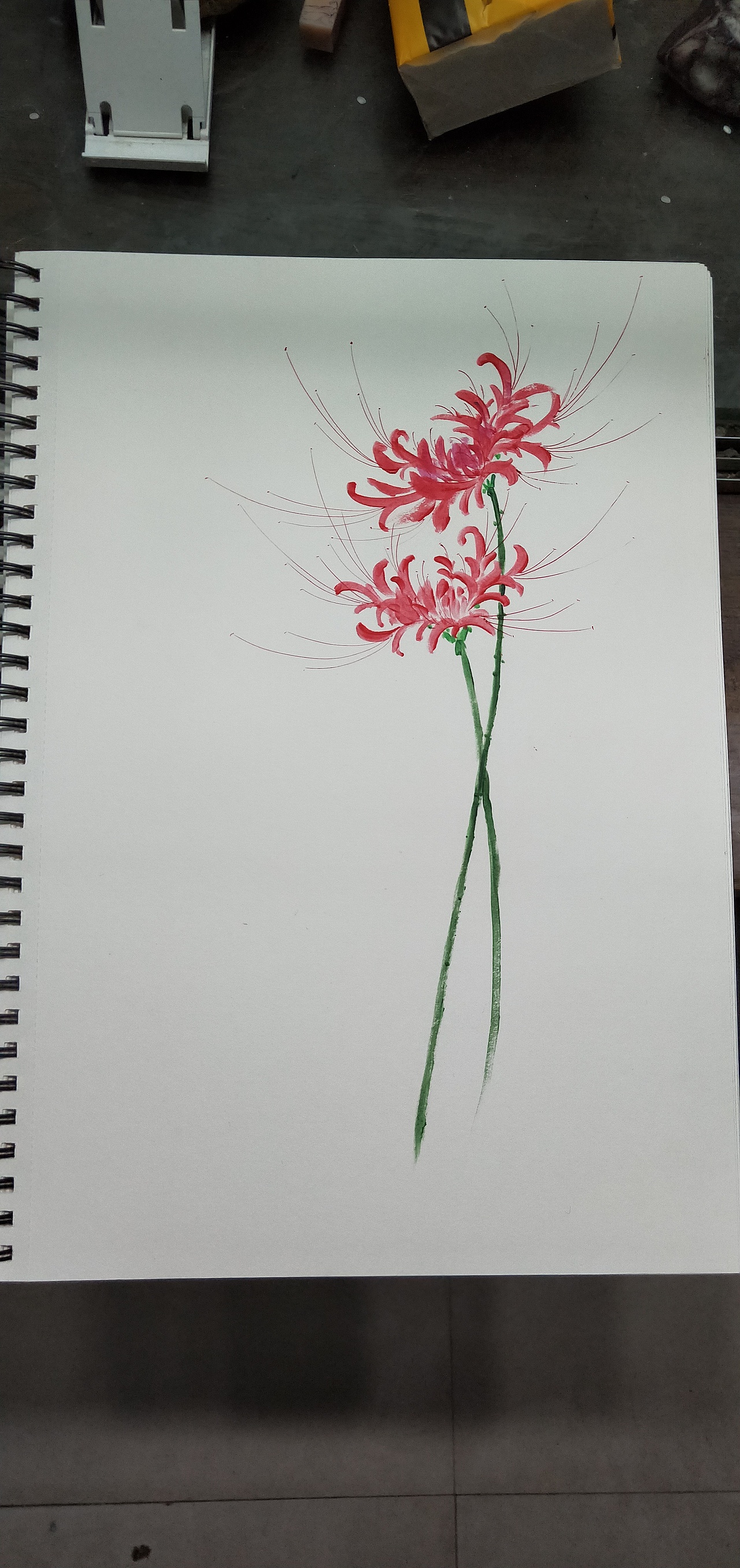 彼岸花|插画|绘本|寿山石雕刻设计_原创作品-站酷zcool