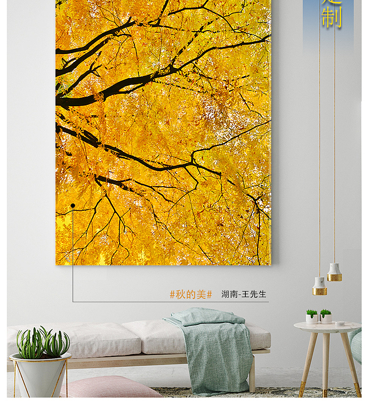 装饰画定制（图ZMTY1NjMxNTE2） - 其他 - 站酷设计师栖舍艺术原创素材 - 站酷ZCOOL