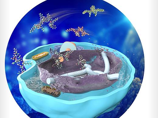 论文配图科研绘图sci杂志封面设计医学插画三维动画