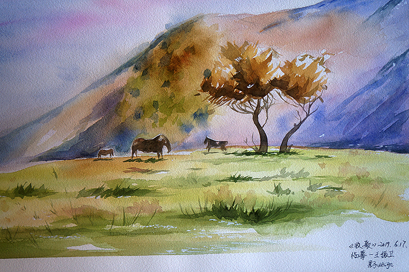 2019年6月水彩学习进阶