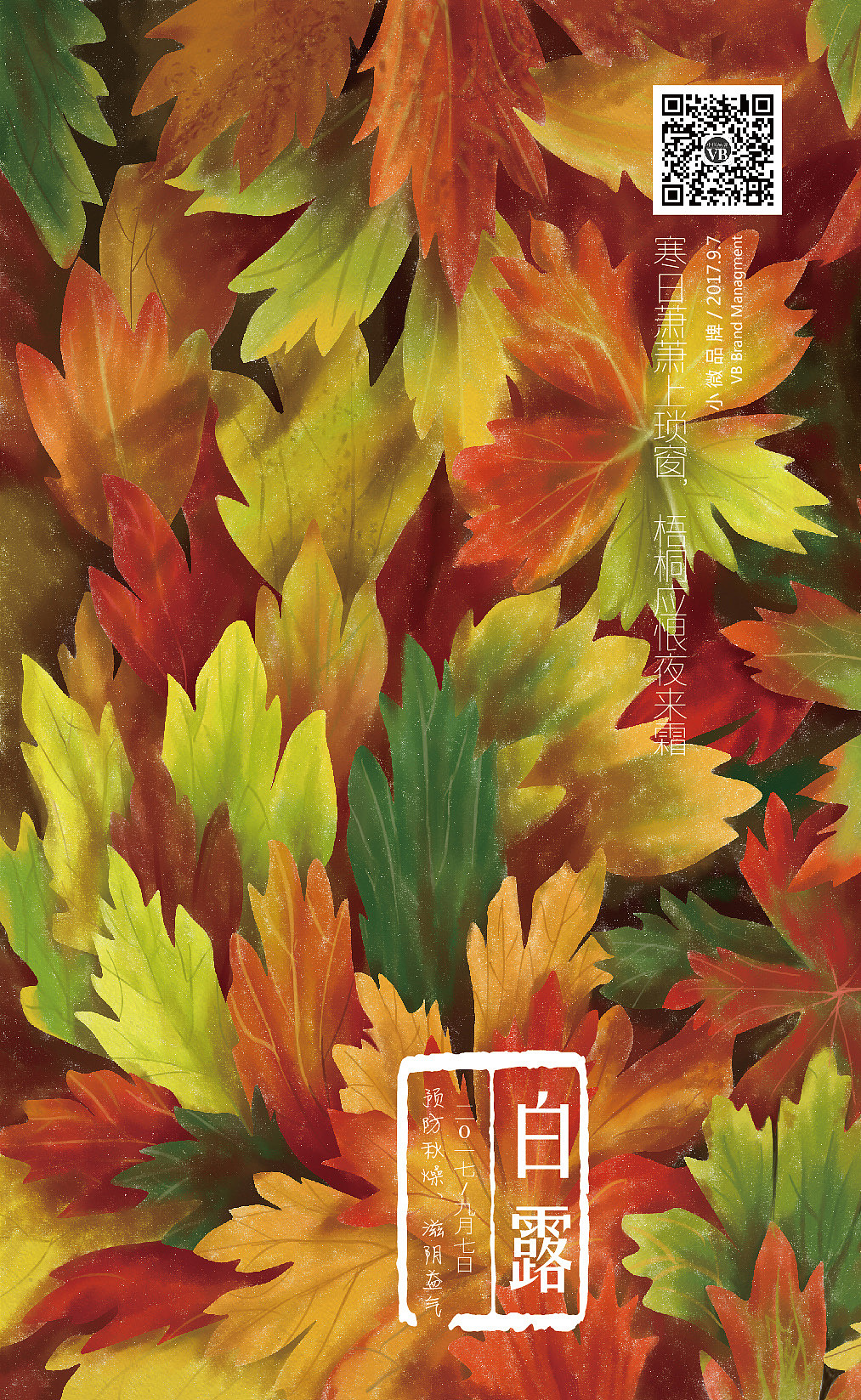 一年手绘节气插图