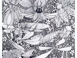 朱老师插画作品选等