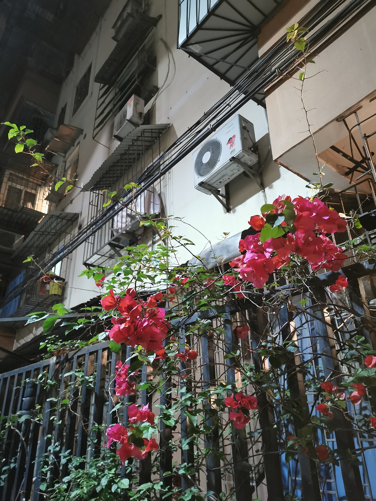 /关于美的搜集/