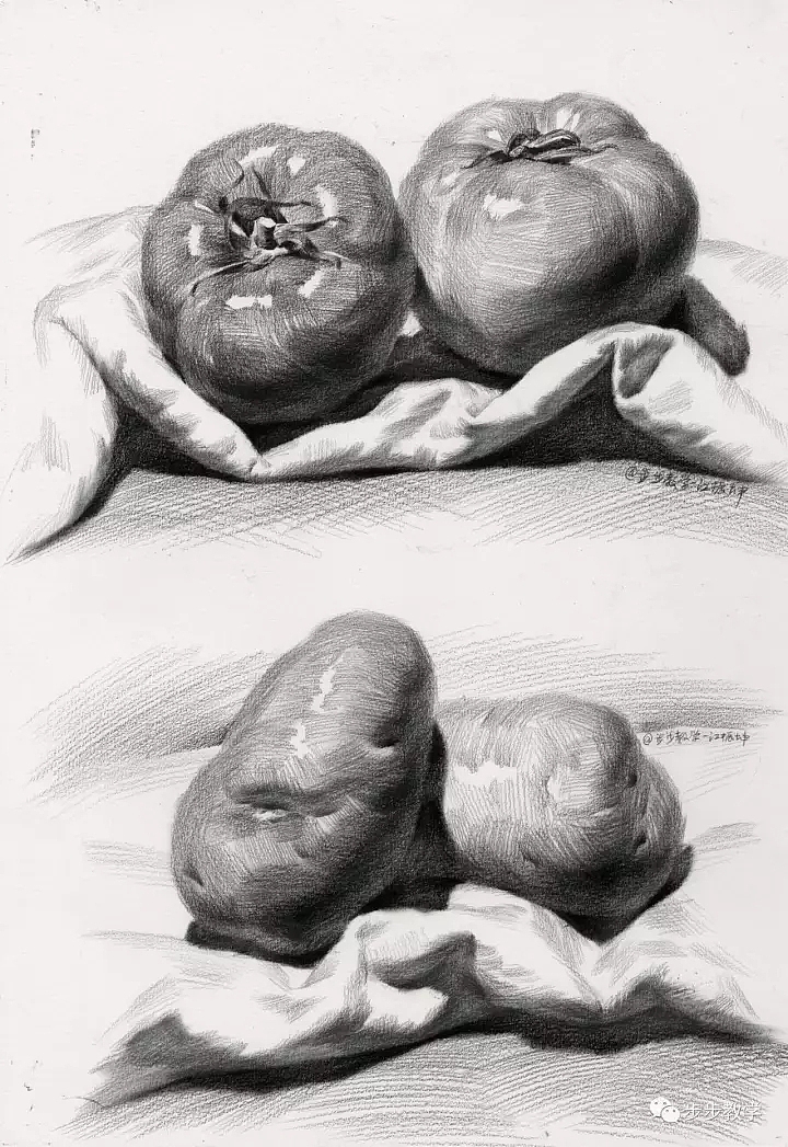 贵州美术网分享经典素描静物作品,来源于步步教学