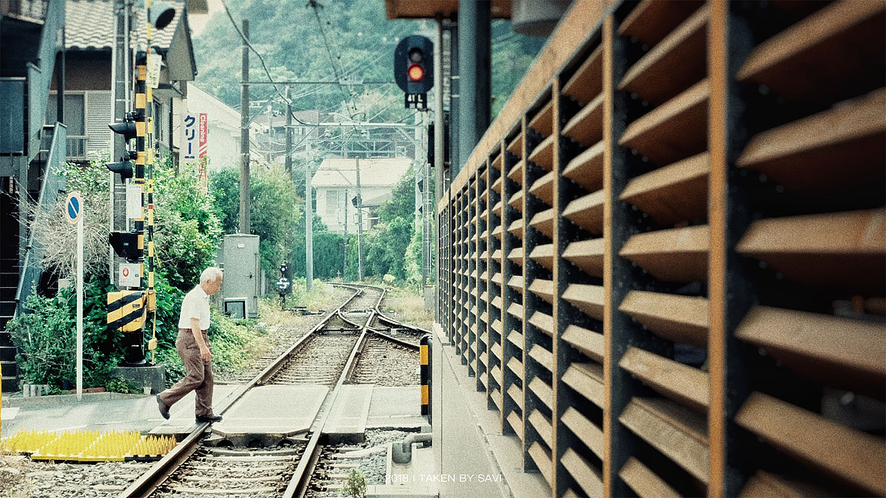 走过嫩绿枯黄,
走过冬夏春秋,<br>从翩翩一少年,<br>走往白发苍苍。<br>