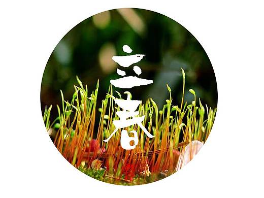 二十四节气书法字体设计
