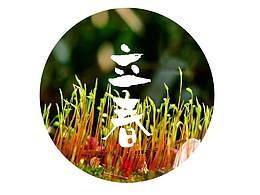 二十四节气书法字体设计