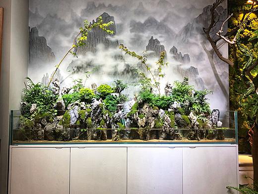 造景墙绘