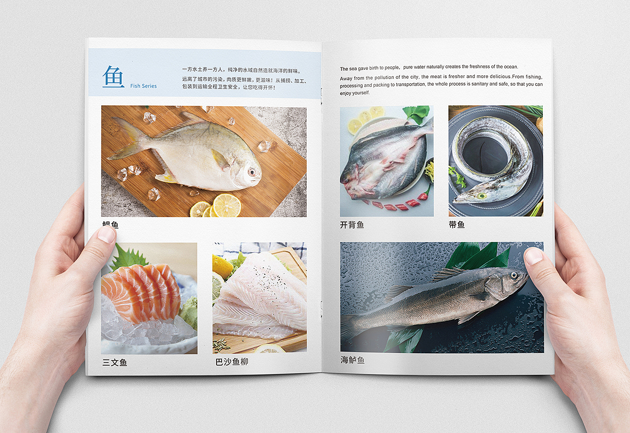 海鲜画册