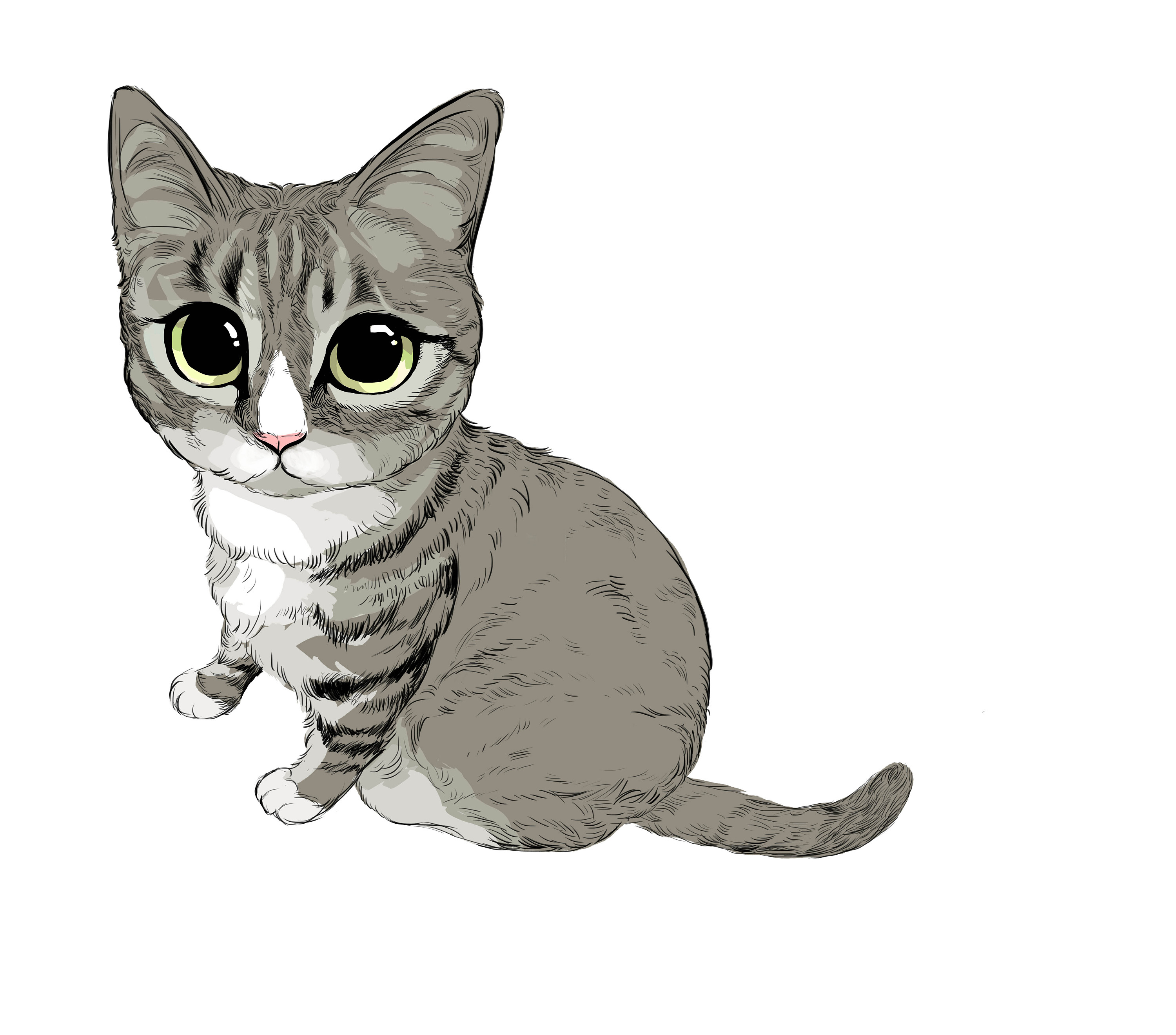 三只萌宠私人定制 amy.a手绘