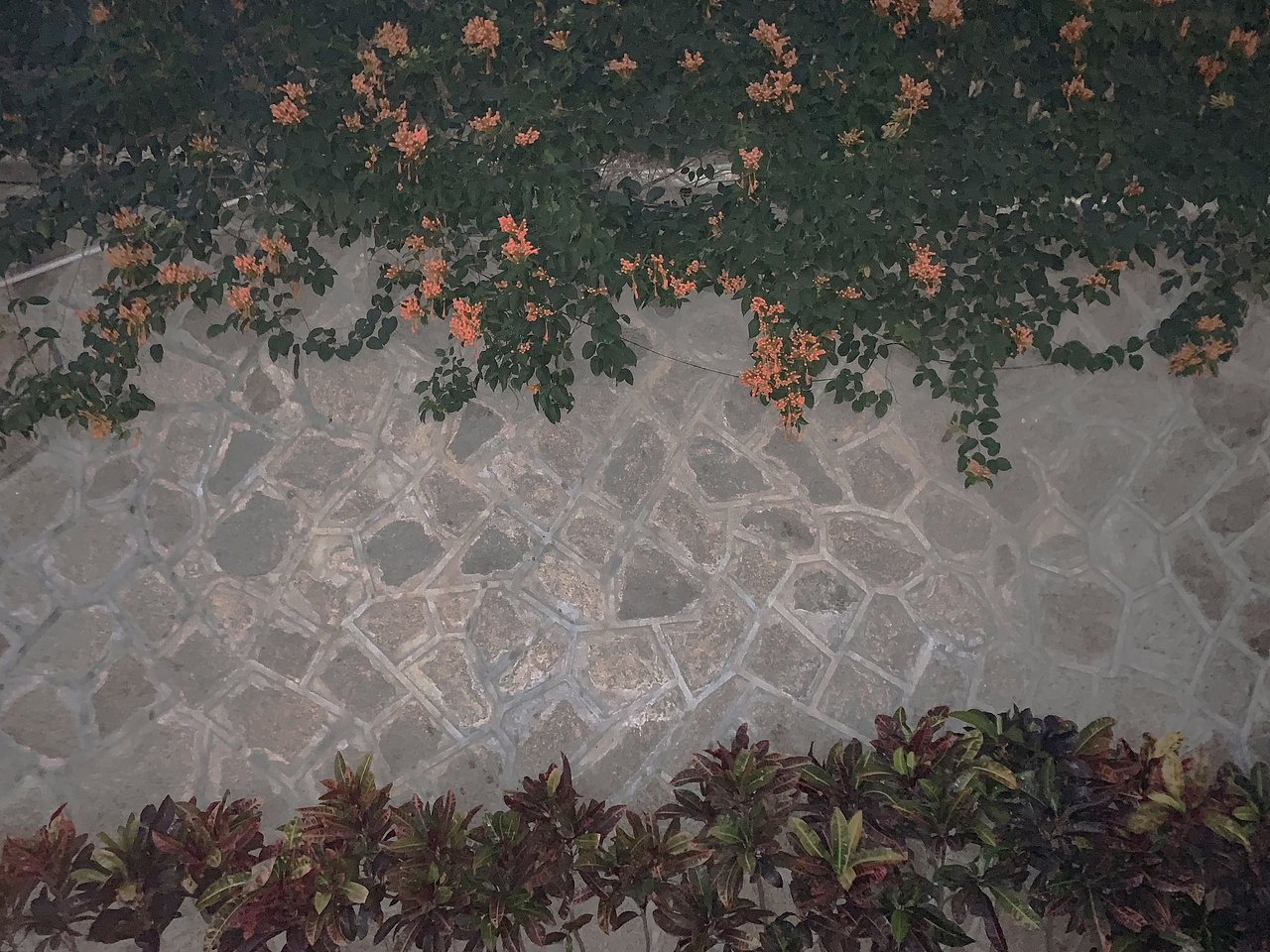 鼓浪屿 厦门（图ZMTU3NTIyOTk2） - 风光摄影 - 站酷设计师mint123原创素材 - 站酷ZCOOL