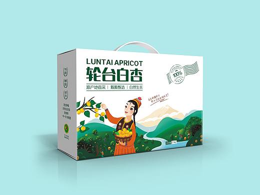 轮台白杏包装设计