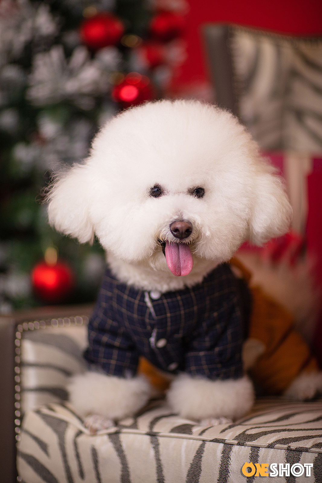 2018圣诞合集第一弹丨你的圣诞礼物又到啦!