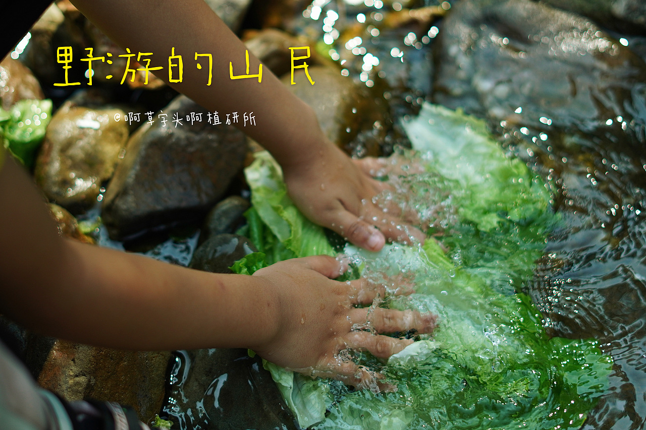 国庆营-野游的山民