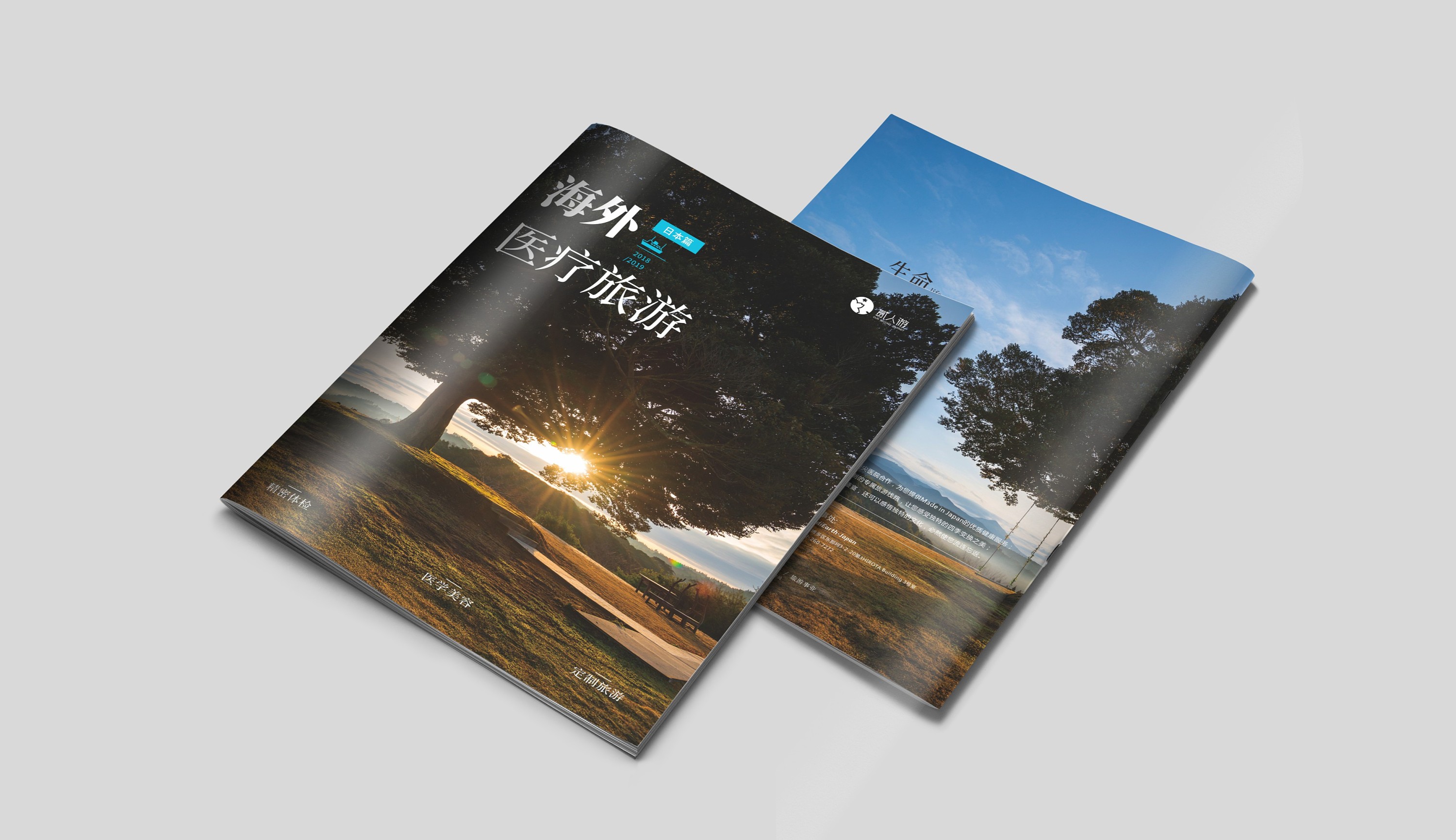 成都宣传册/海外旅游画册/医疗手册