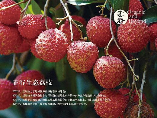 【 2012年 】正谷有机水果包装设计