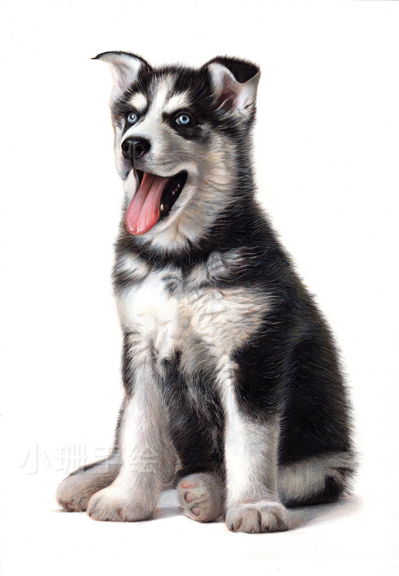 白色背景中的狗哈士奇手绘墨迹 向量例证. 插画 包括有 逗人喜爱, 哺乳动物, 图画, 格朗基, 图标 - 157523425