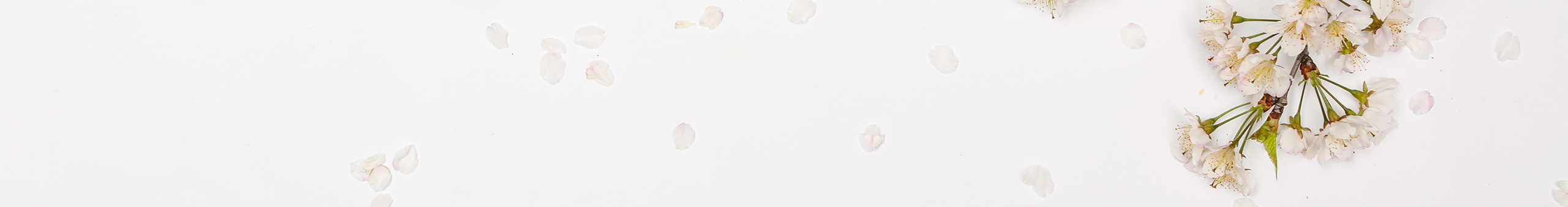 June六月橙的个人主页（封面预览） - 主页封面设置 - 站酷设计师June六月橙原创素材 - 站酷ZCOOL