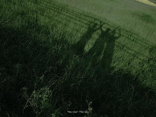 夏天，让男孩子们疯长吧。