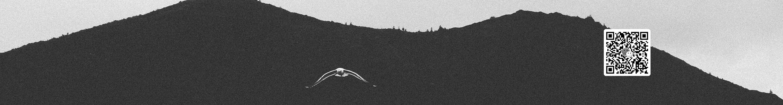 辛未设计的个人主页（封面预览） - 主页封面设置 - 站酷设计师辛未设计原创素材 - 站酷ZCOOL