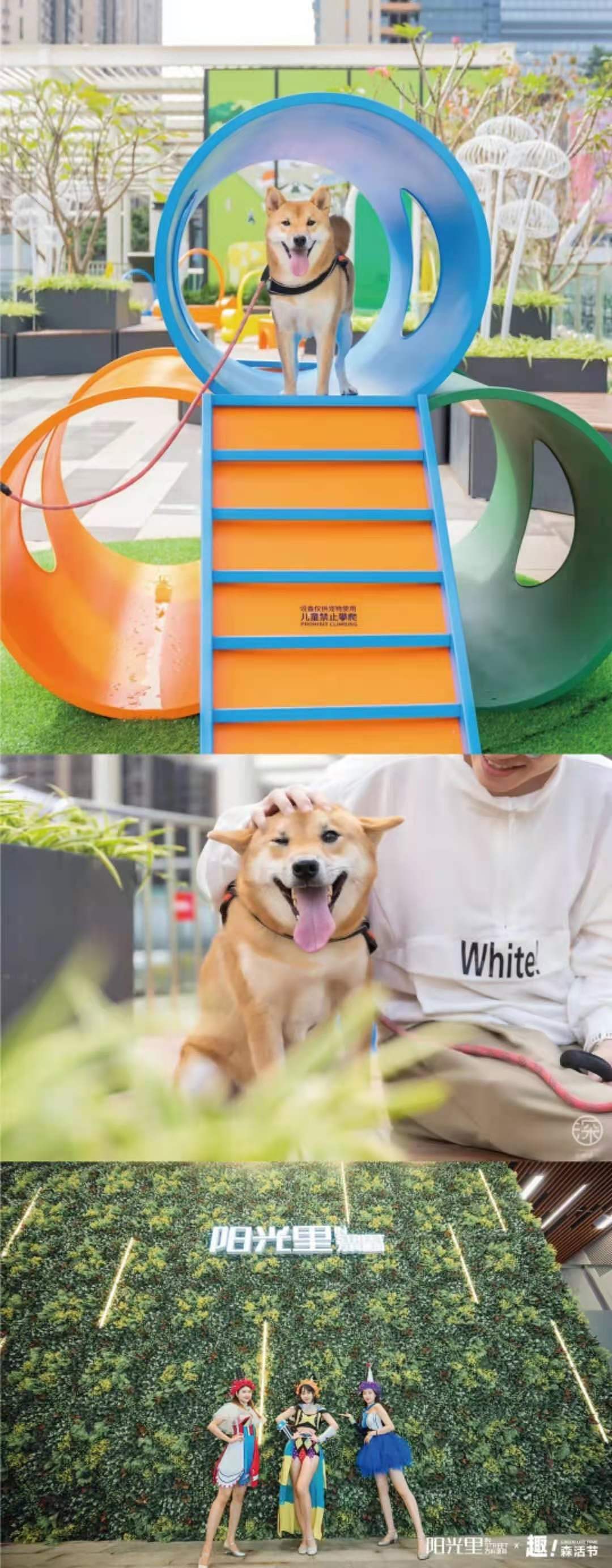 有氧更有YOUNG商业插画（图ZMjMzOTQ1ODcy） - 商业插画 - 站酷设计师yawn雯静原创素材 - 站酷ZCOOL