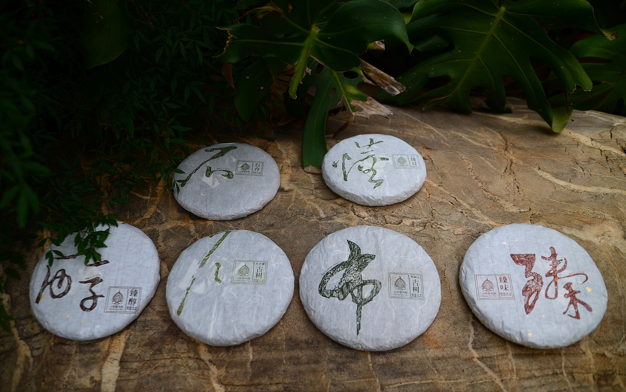 人在草木间（图ZMjk2MjEzODg=） - 产品摄影 - 站酷设计师何伟杯子原创素材 - 站酷ZCOOL