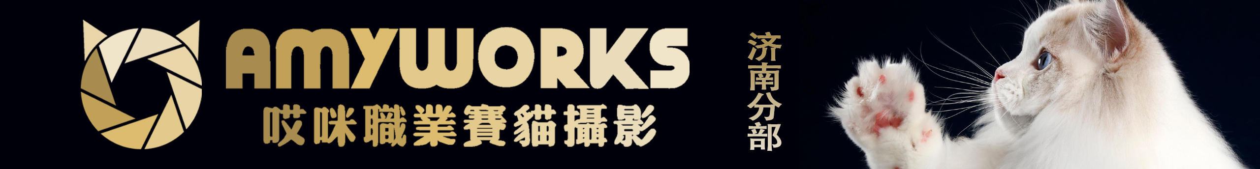 AmyWorks2Ocean的個人主頁（封面預(yù)覽） - 主頁封面設(shè)置 - 站酷設(shè)計師AmyWorks2Ocean原創(chuàng)素材 - 站酷ZCOOL