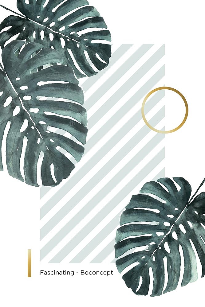 2021小清新（图ZMjkwNzcxNzA4） - 商业插画 - 站酷设计师窗帘图库原创素材 - 站酷ZCOOL