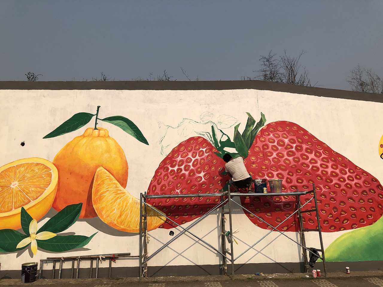 贵阳息烽温泉网红打卡点草莓果园文化手绘墙_壁尚手绘贵州墙绘-站酷zc