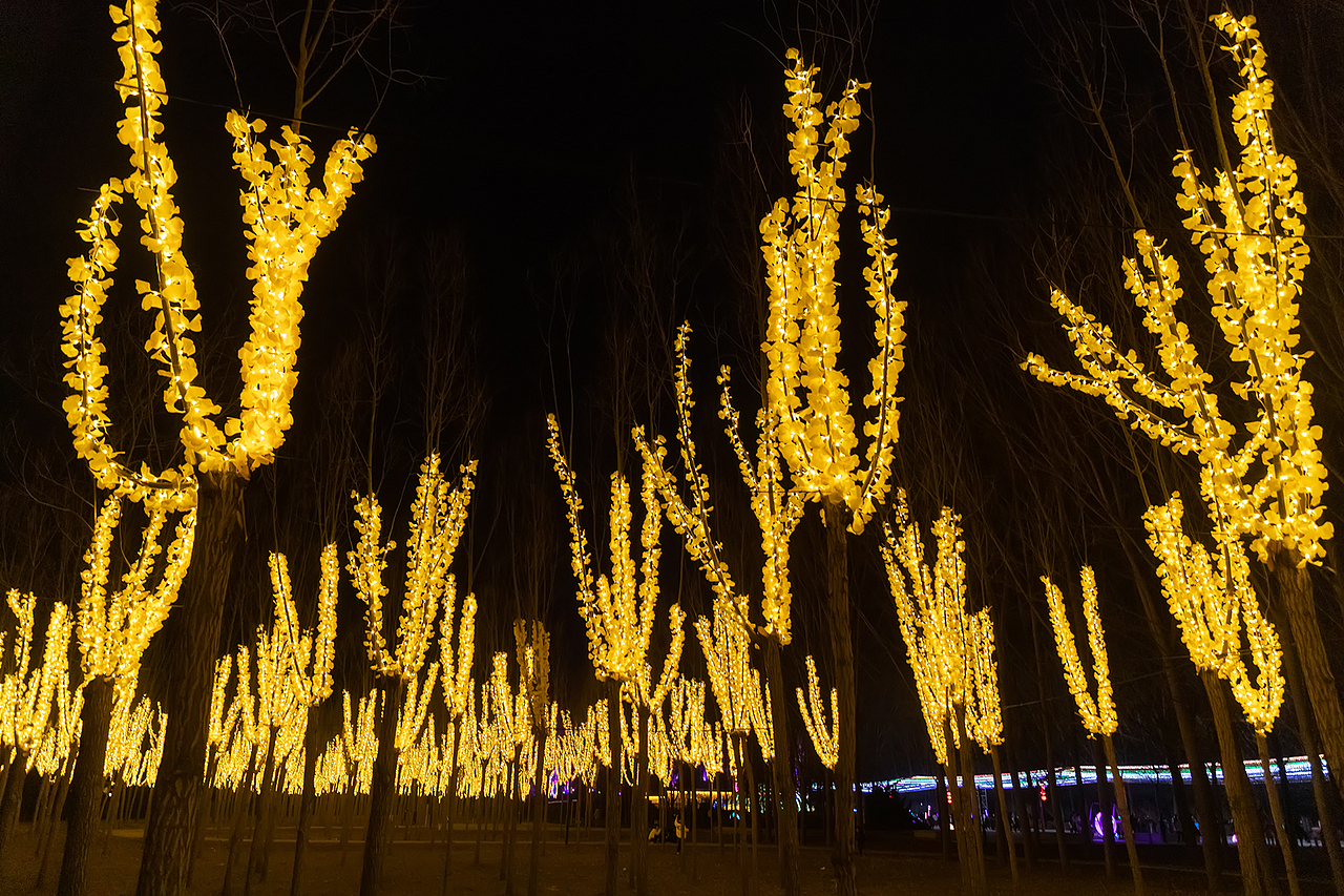 过年魏祠看花灯（图ZMjg2ODE5MzAw） - 其他摄影 - 站酷设计师pear1103原创素材 - 站酷ZCOOL