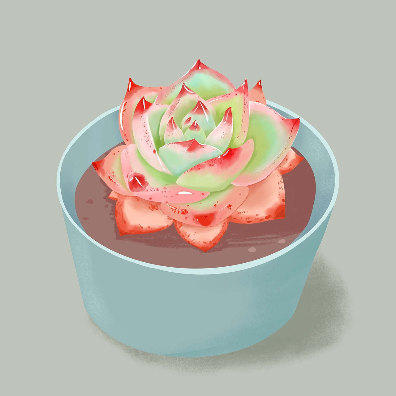 动植物人物练习30天小结（图ZMjc2MjQ1Mjk2） - 商业插画 - 站酷设计师画画的大伟原创素材 - 站酷ZCOOL