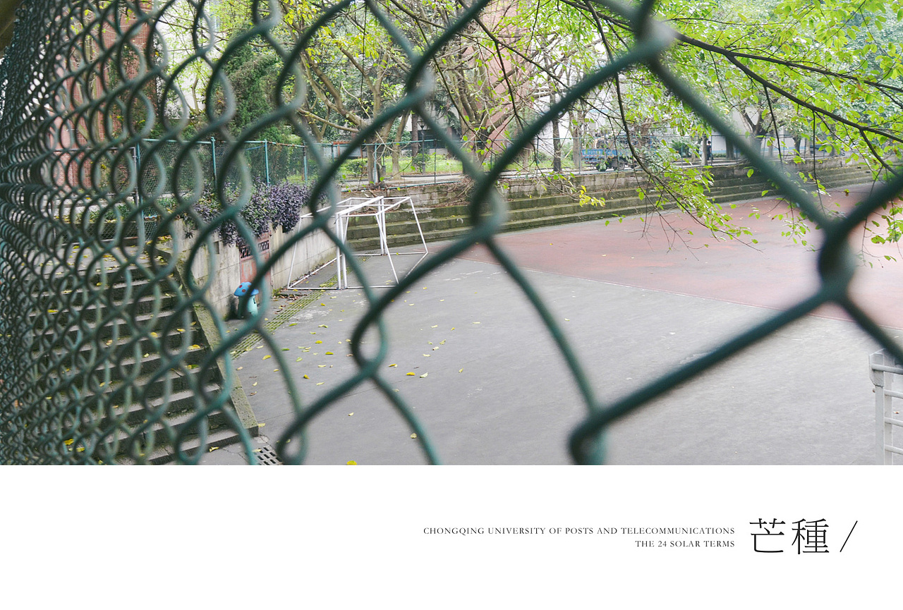 重庆邮电大学24节气明信片