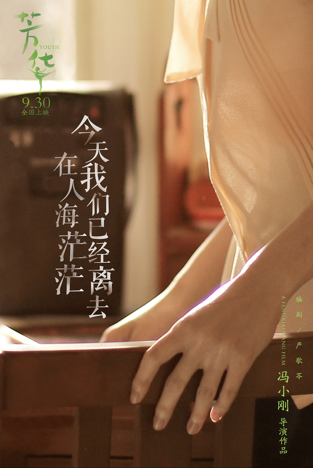 电影芳华那些花儿mv海报