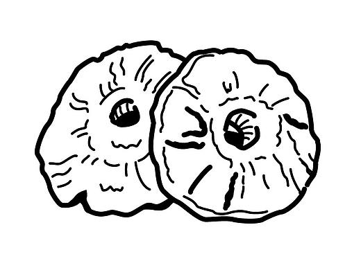 三只松鼠icon矢量图标-简绘生活