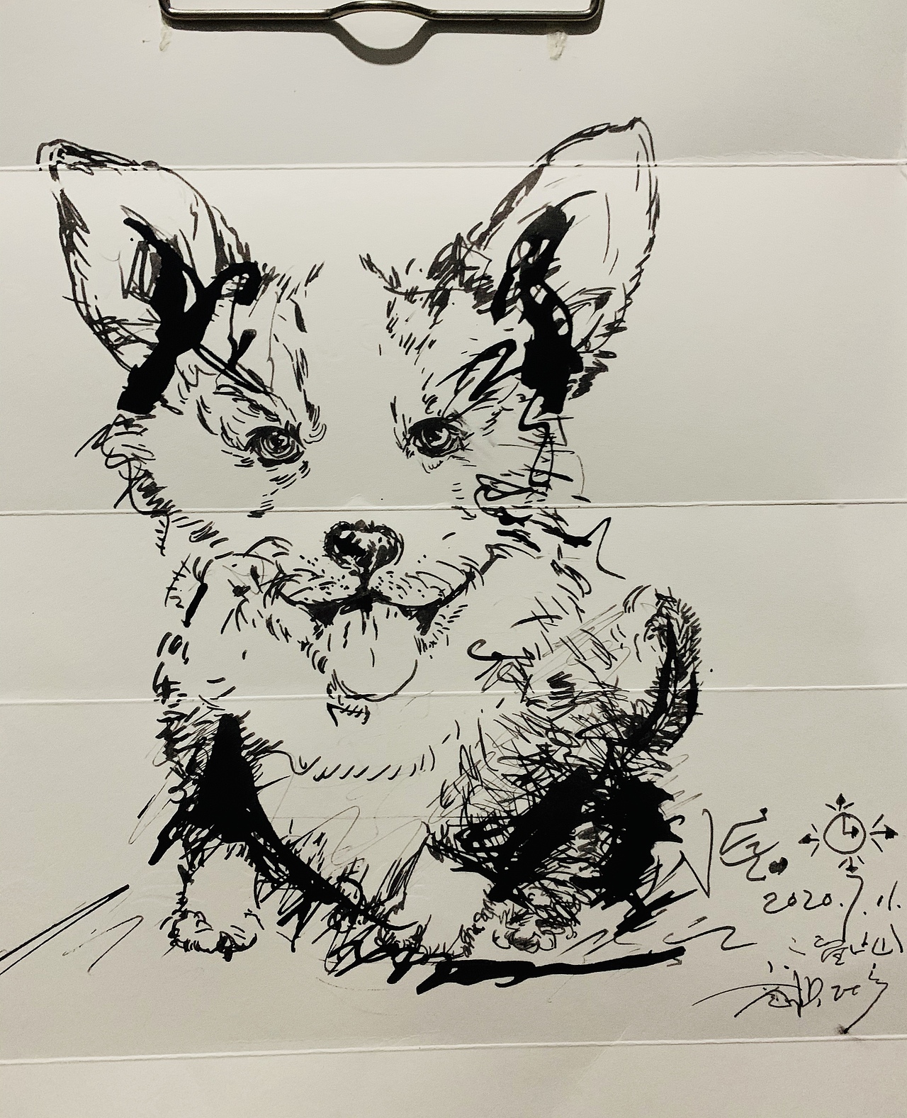 这两年画速写的狗