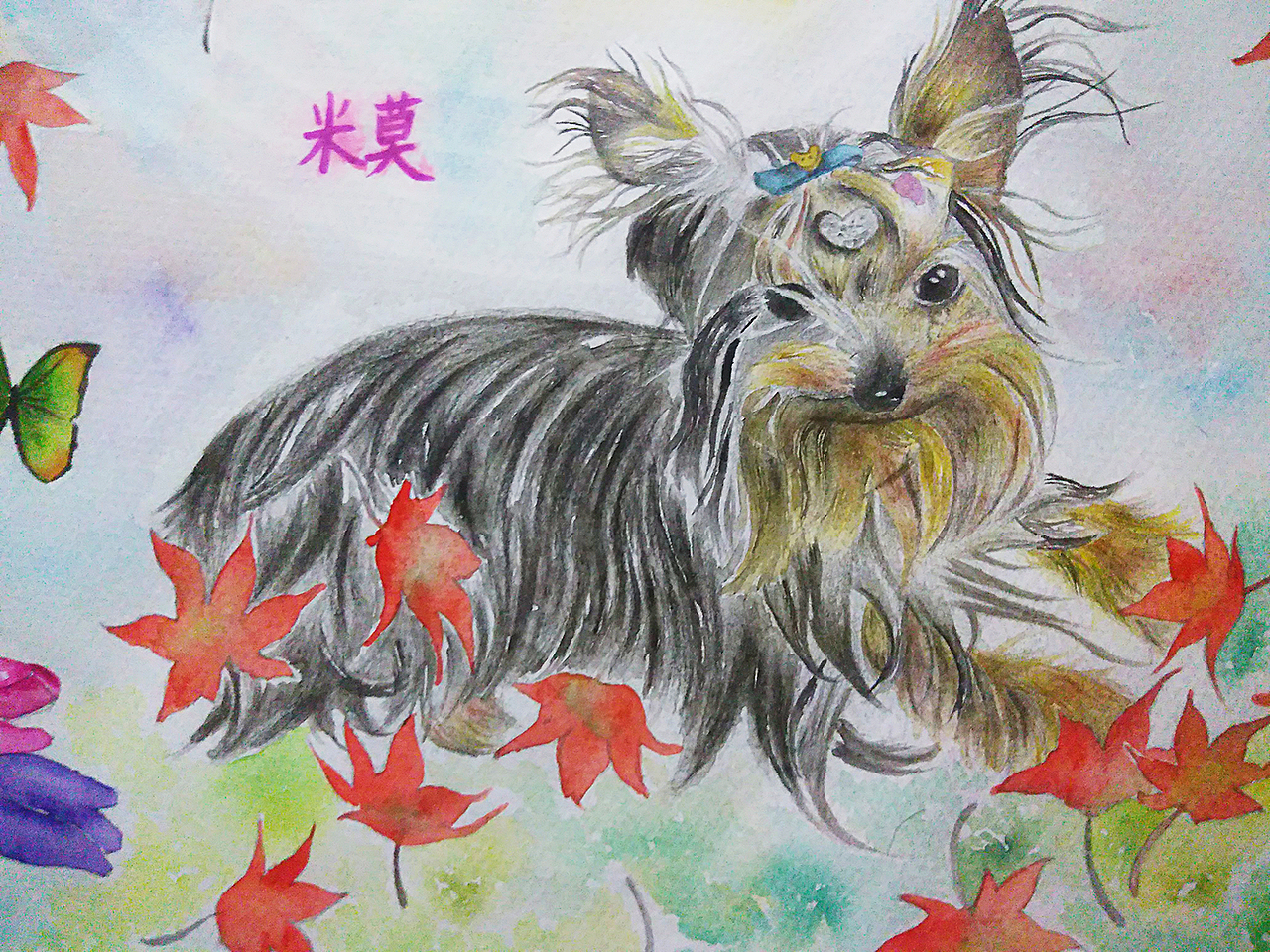 手绘约克夏狗狗