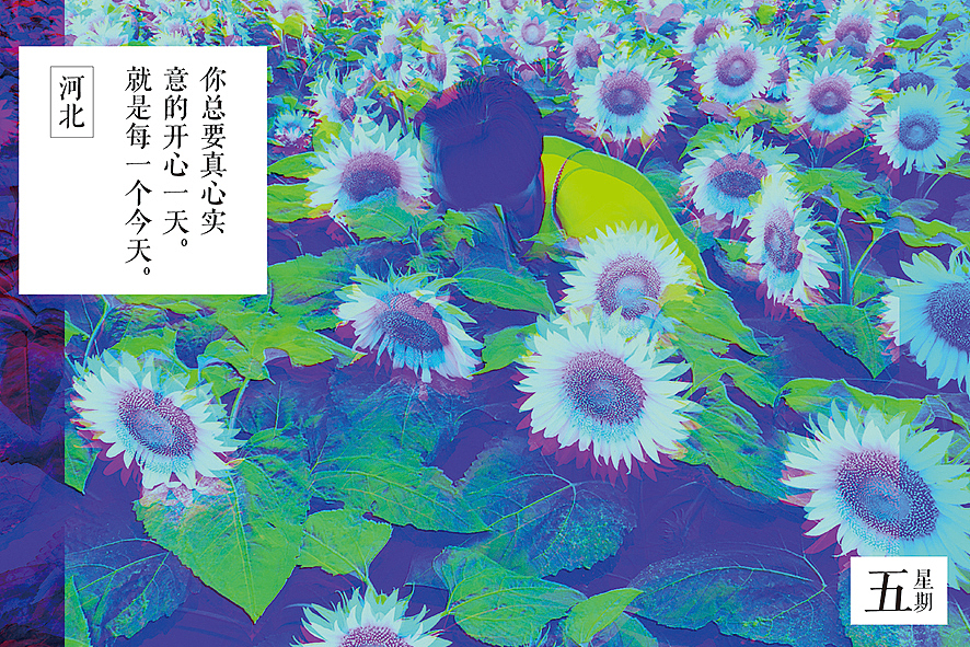 原照片提供阿信哥