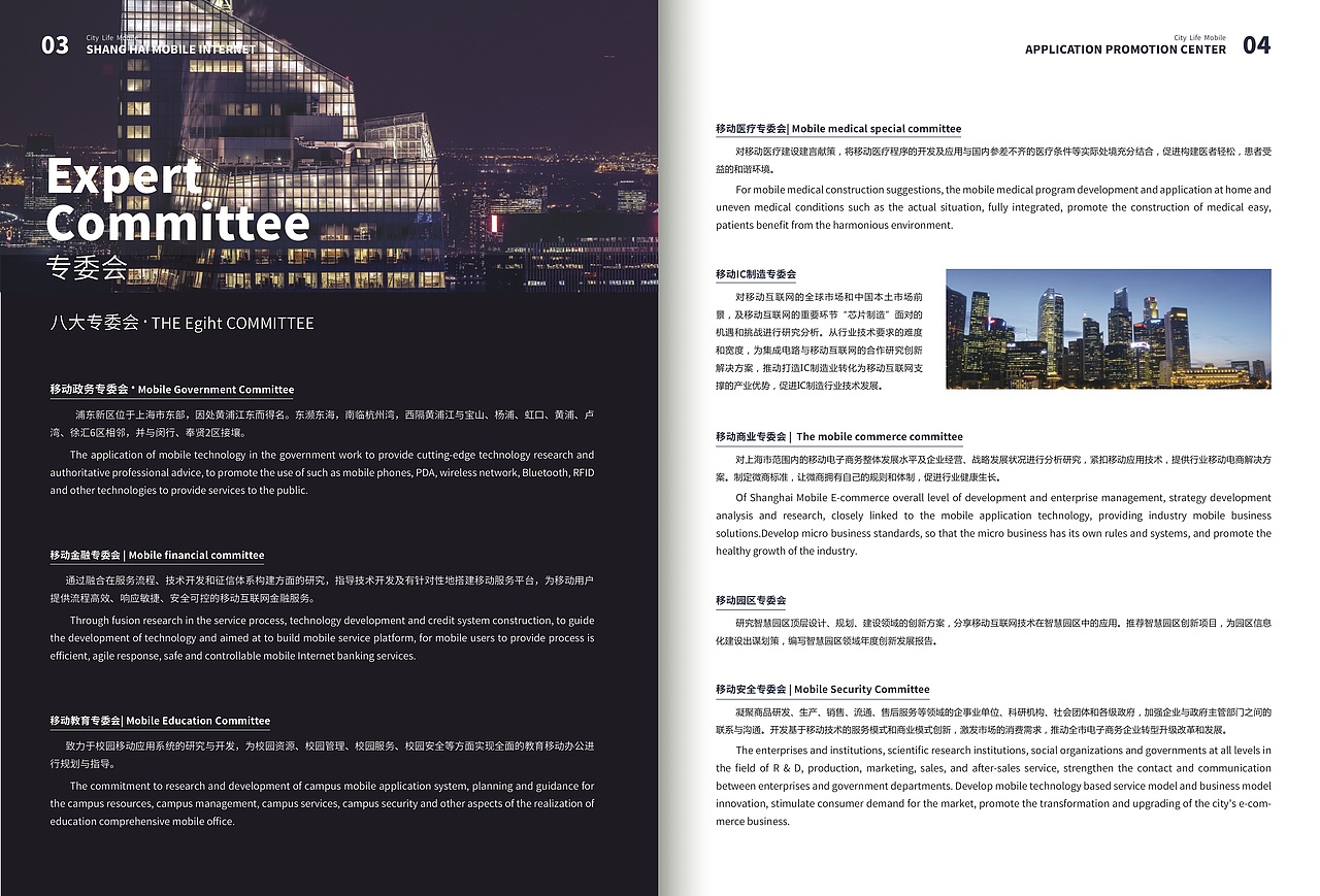 IPUDONG宣传册风格设计