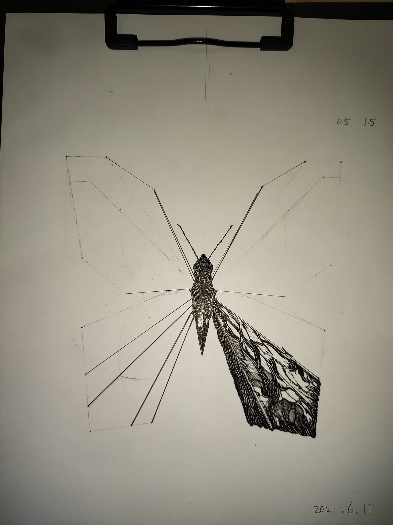 原创黑白装饰画手绘 世界之蝶：埃森丝（图ZMjU5NjcyOTk2） - 绘画 - 站酷设计师MCLong2000原创素材 - 站酷ZCOOL