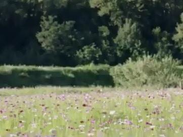 桑干河大峡谷旅游区宣传配音，