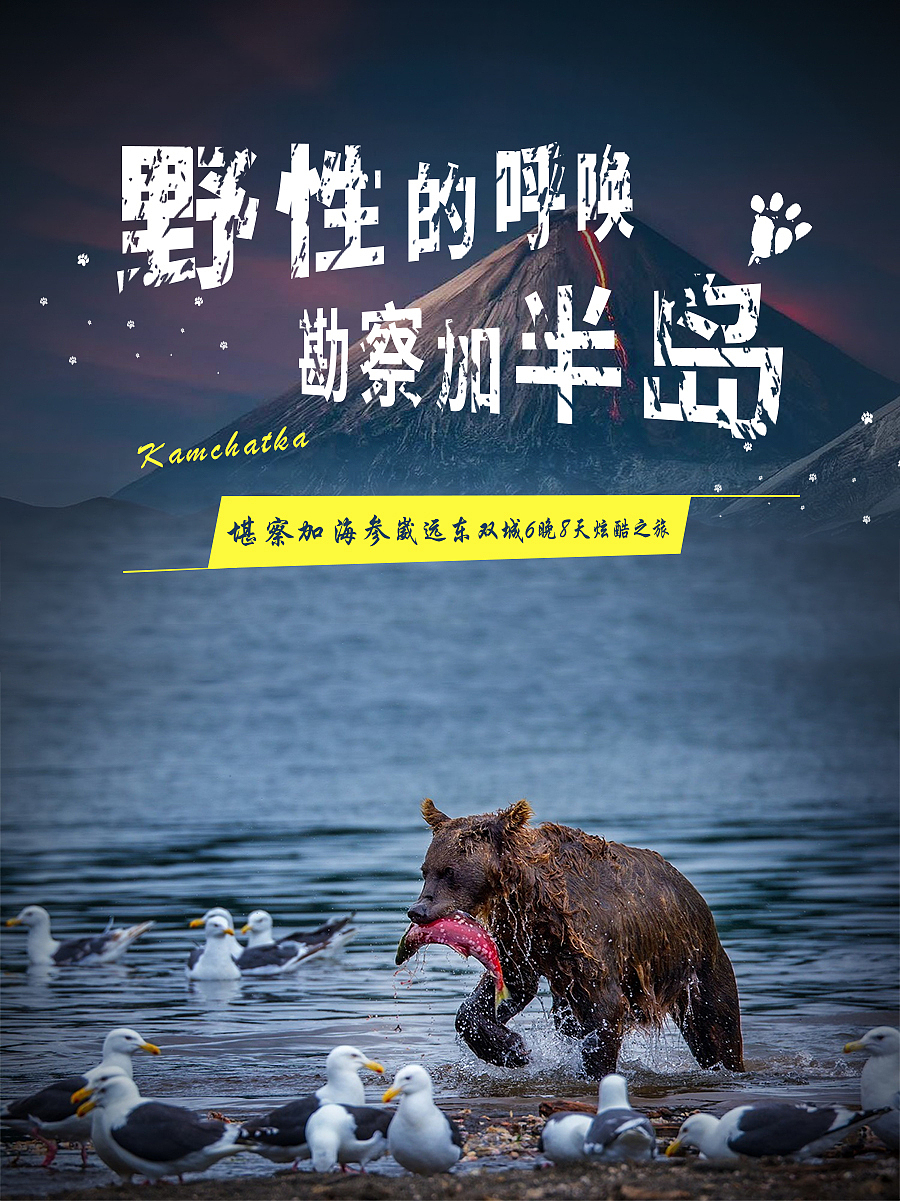海报（图ZMTY2MjU5MDMy） - 海报 - 站酷设计师一坨小花原创素材 - 站酷ZCOOL