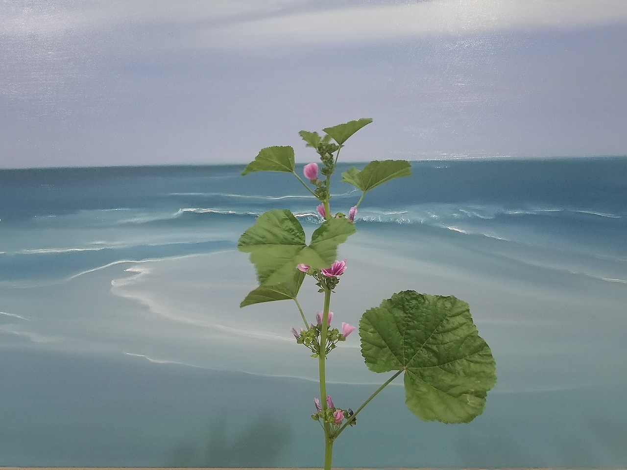 海（图ZMjEwNTA4NDMy） - 绘画 - 站酷设计师神仙sod蜜art原创素材 - 站酷ZCOOL