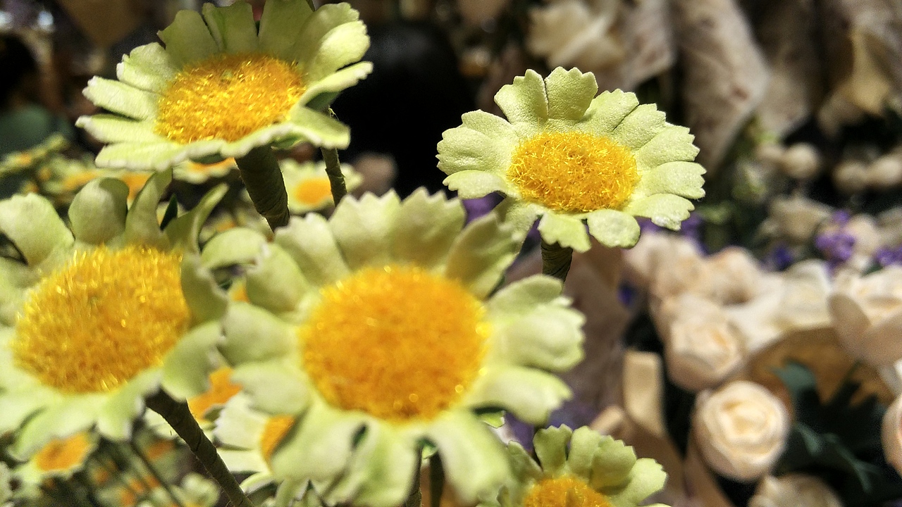 醉爱南锣（图ZMzI2NDEyMjQ=） - 风光摄影 - 站酷设计师伽海原创素材 - 站酷ZCOOL